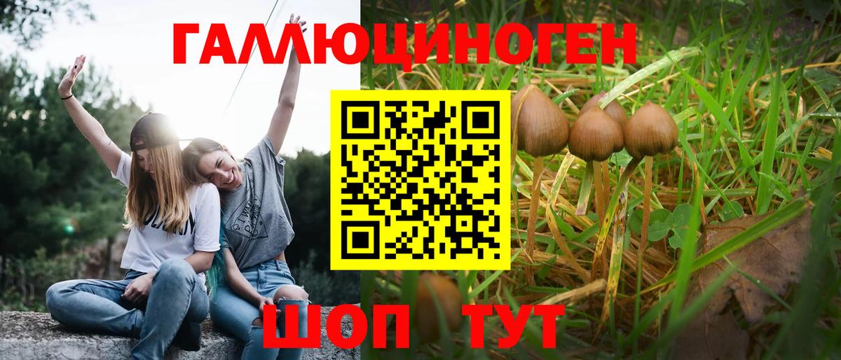 Кунгур  Псилоцибиновые грибы мухоморы  Вход с VPN 